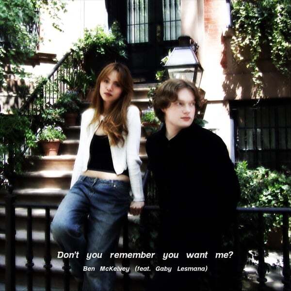 Cover art for Don't you remember you want me?